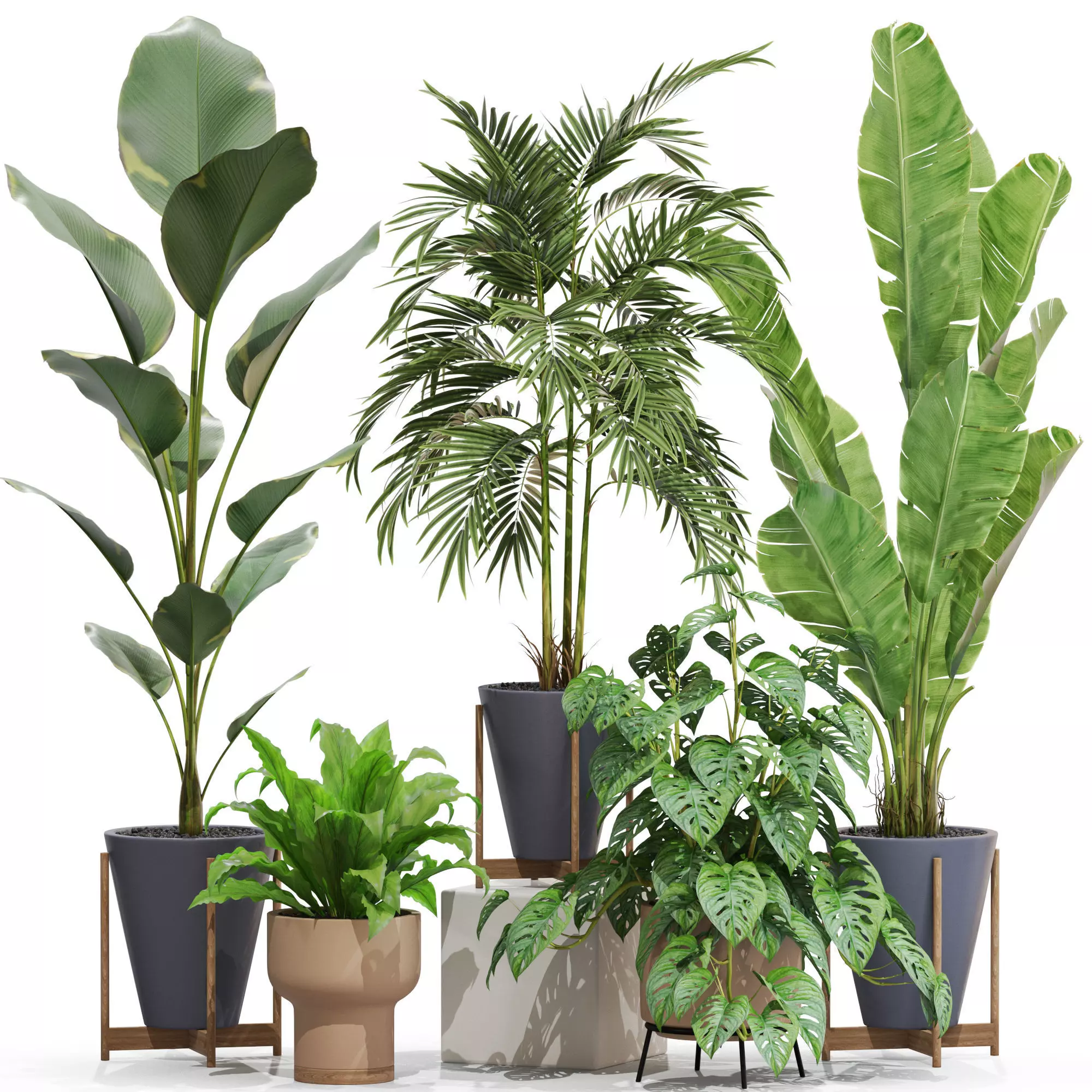 Plants collection 717 3D model_0