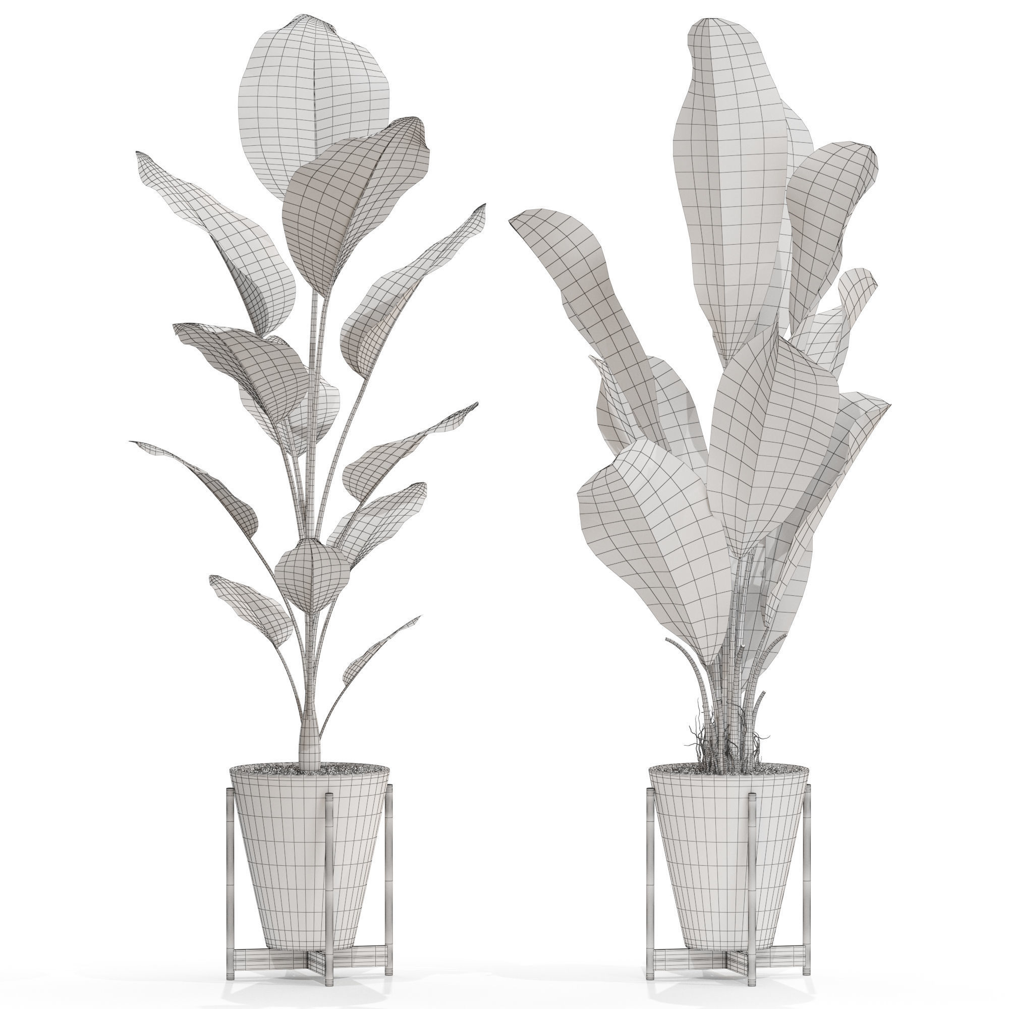 Plants collection 717 3D model_4