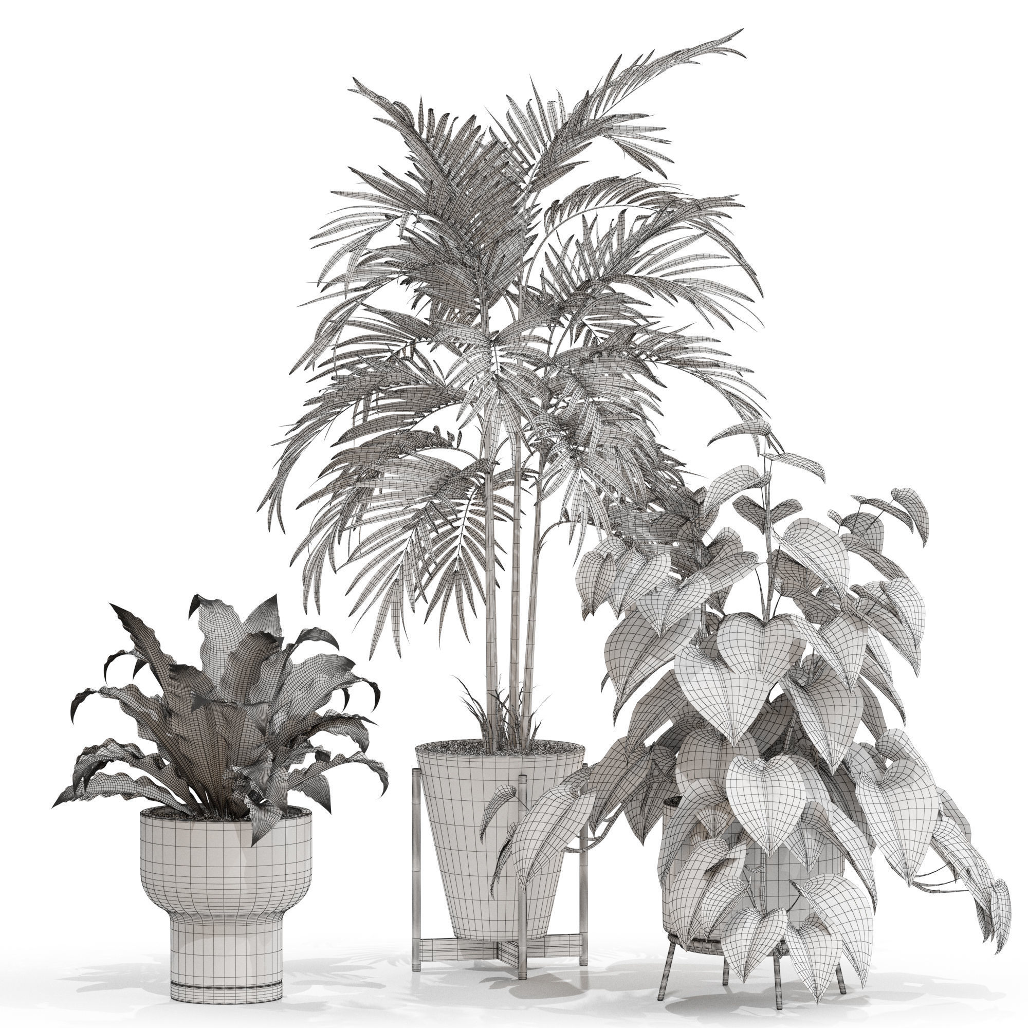 Plants collection 717 3D model_3