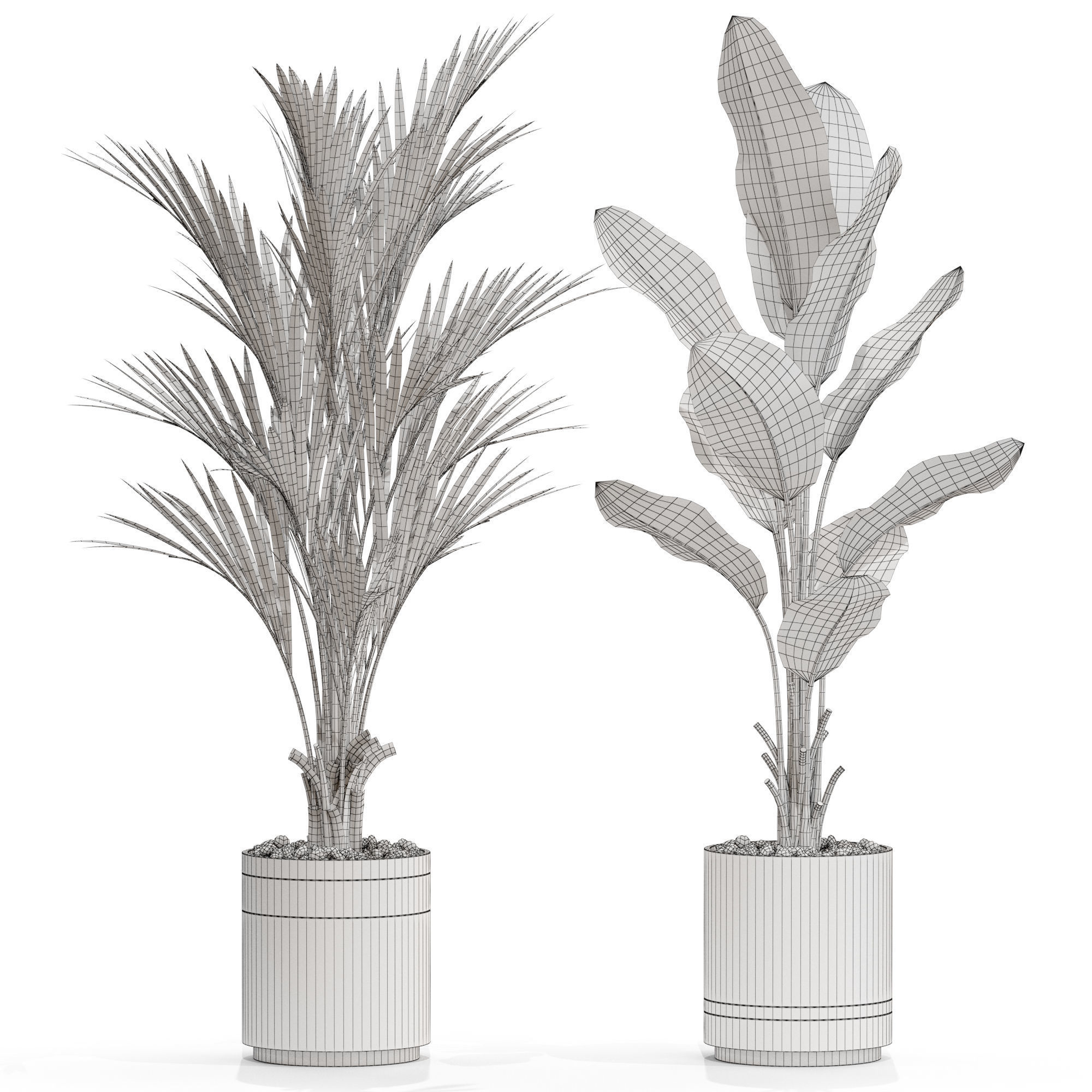 Plants collection 718 3D model_4