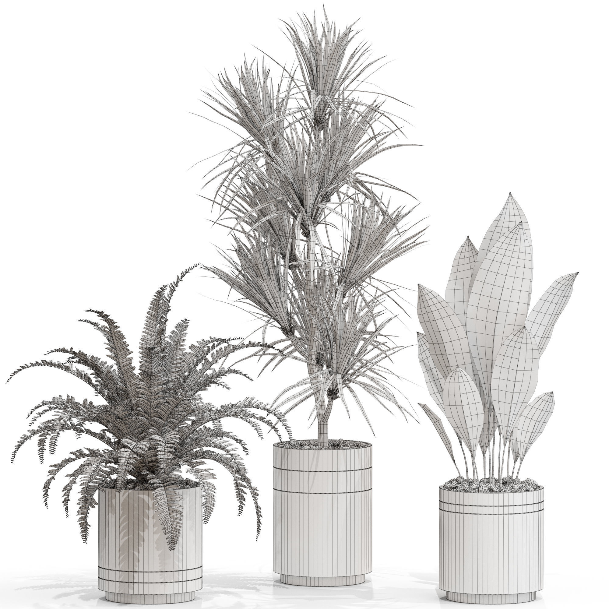 Plants collection 718 3D model_3