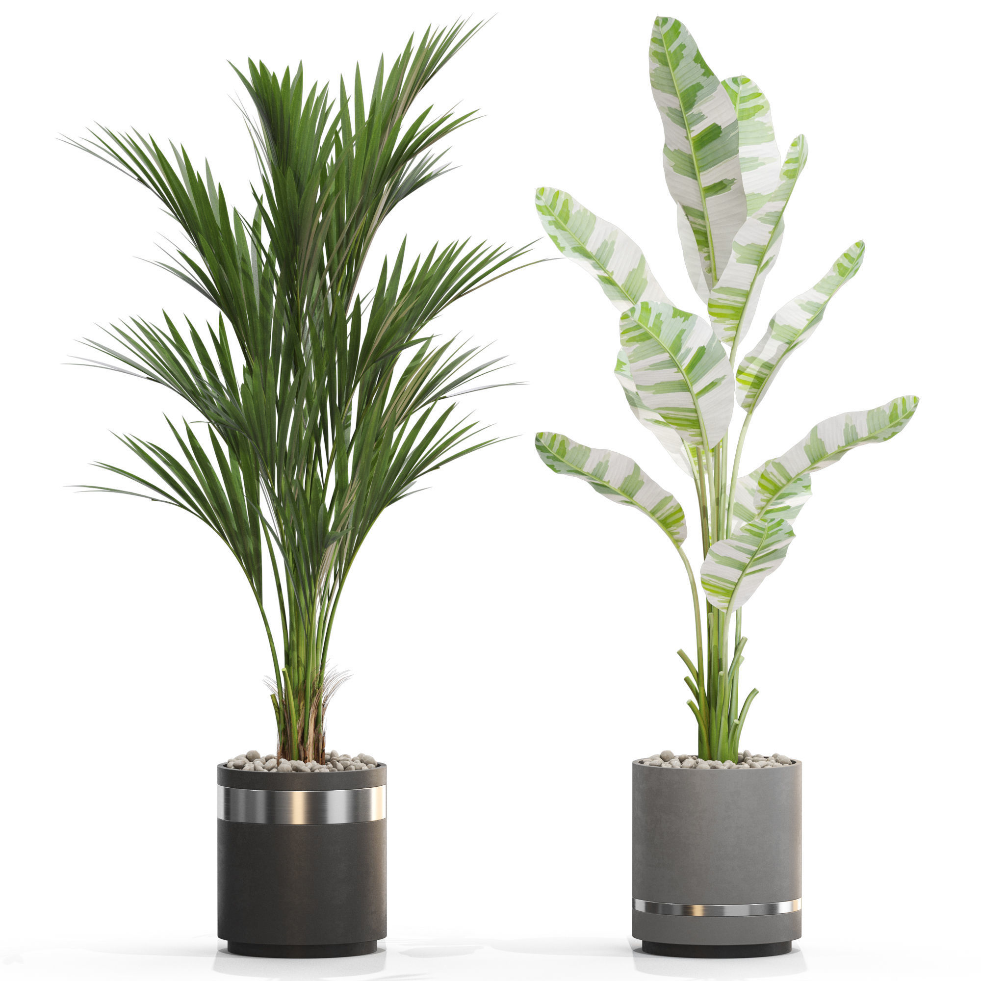 Plants collection 718 3D model_2