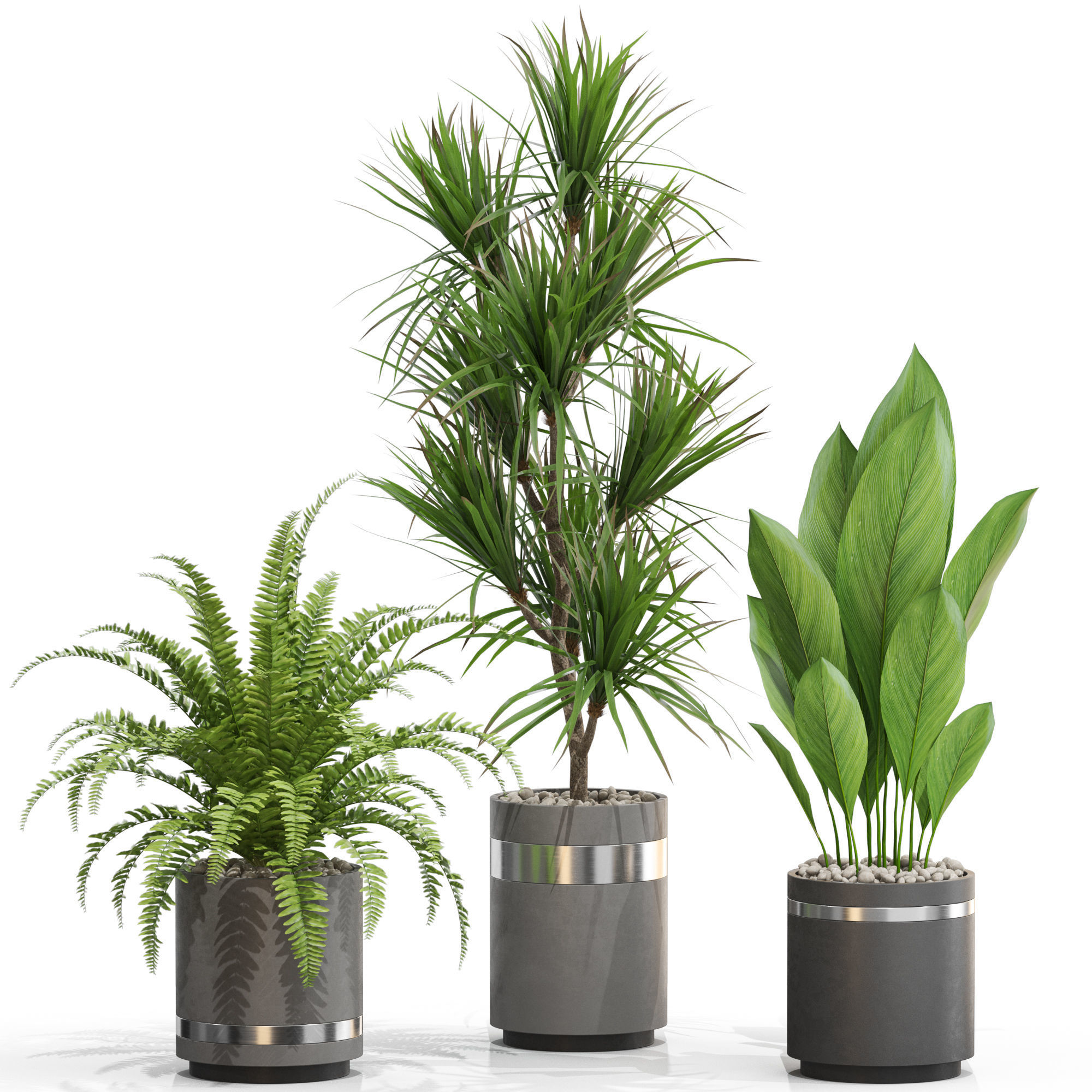 Plants collection 718 3D model_1