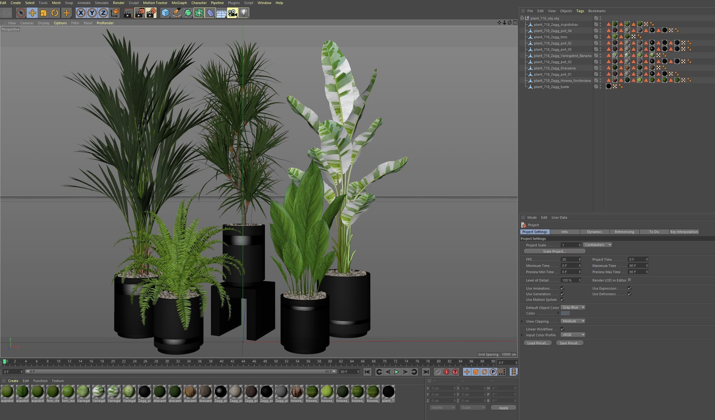 Plants collection 718 3D model_6