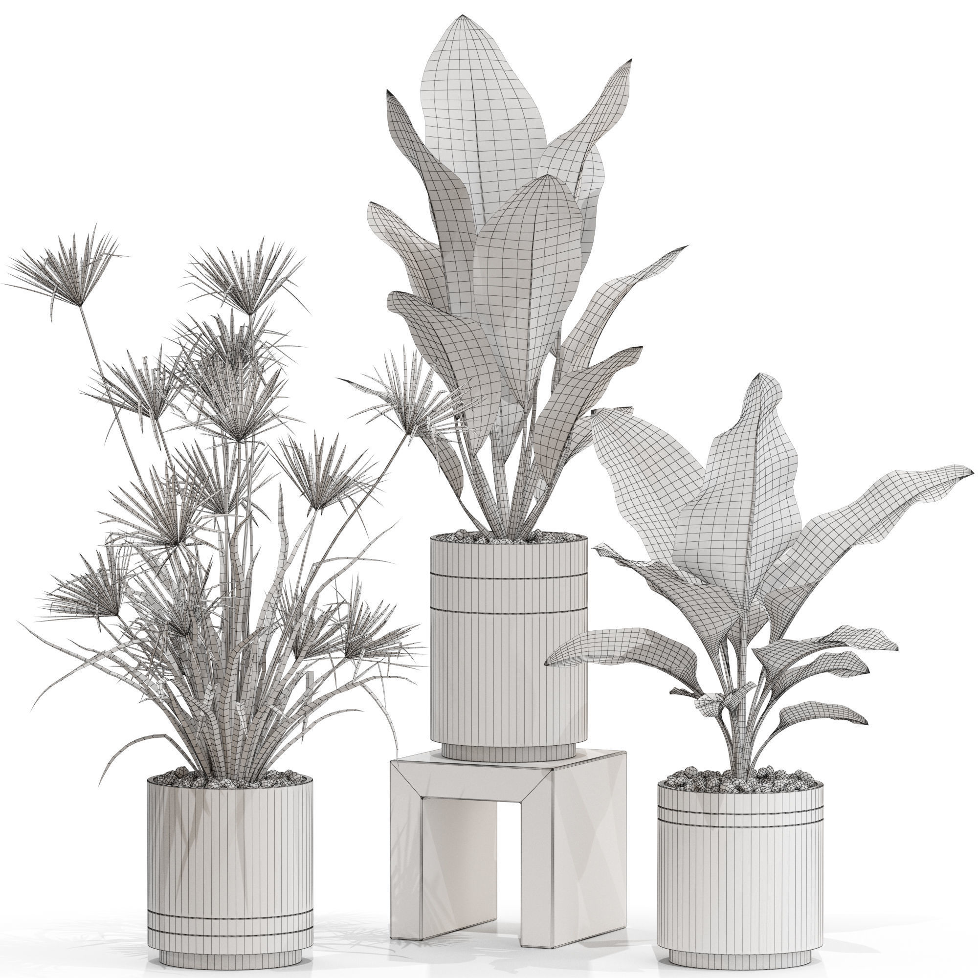 Plants collection 719 3D model_3