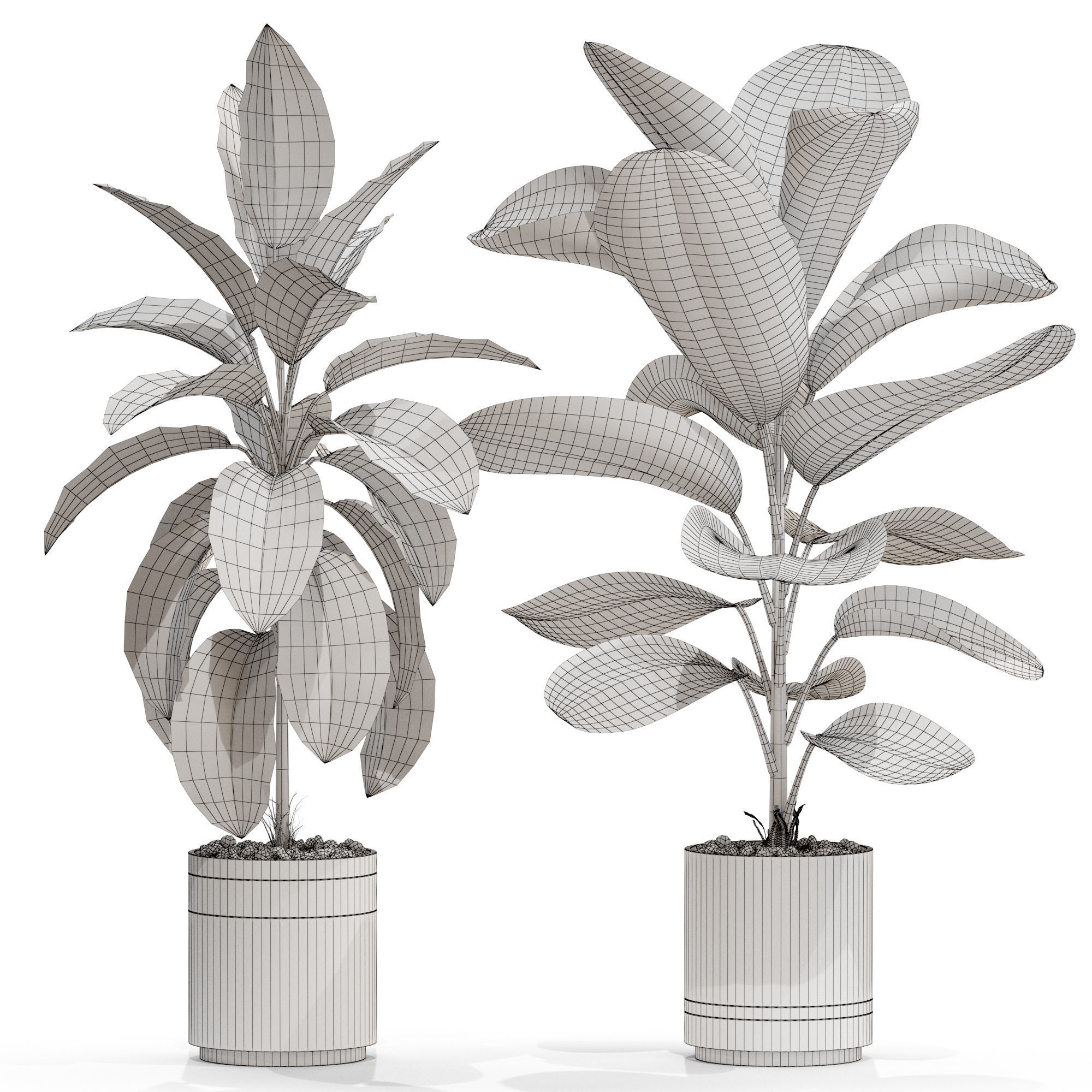Plants collection 719 3D model_4
