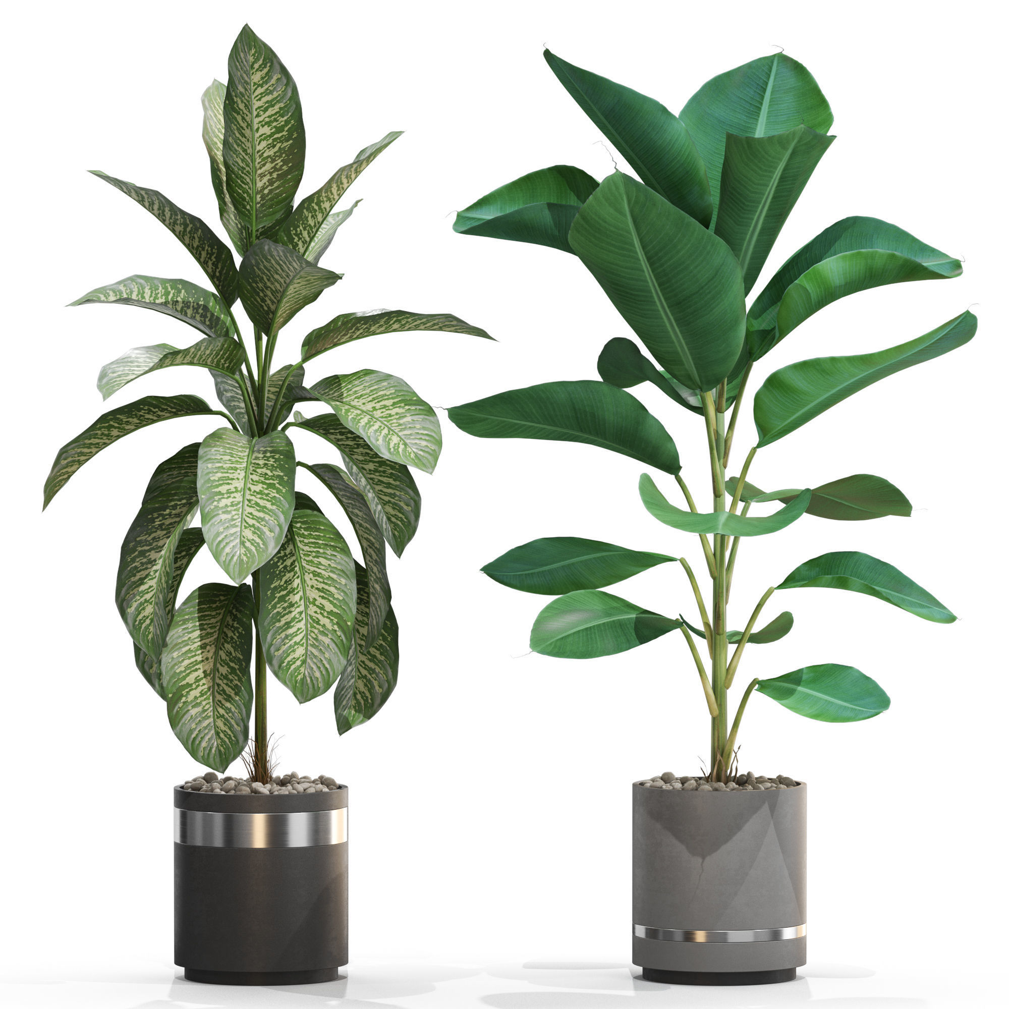 Plants collection 719 3D model_2