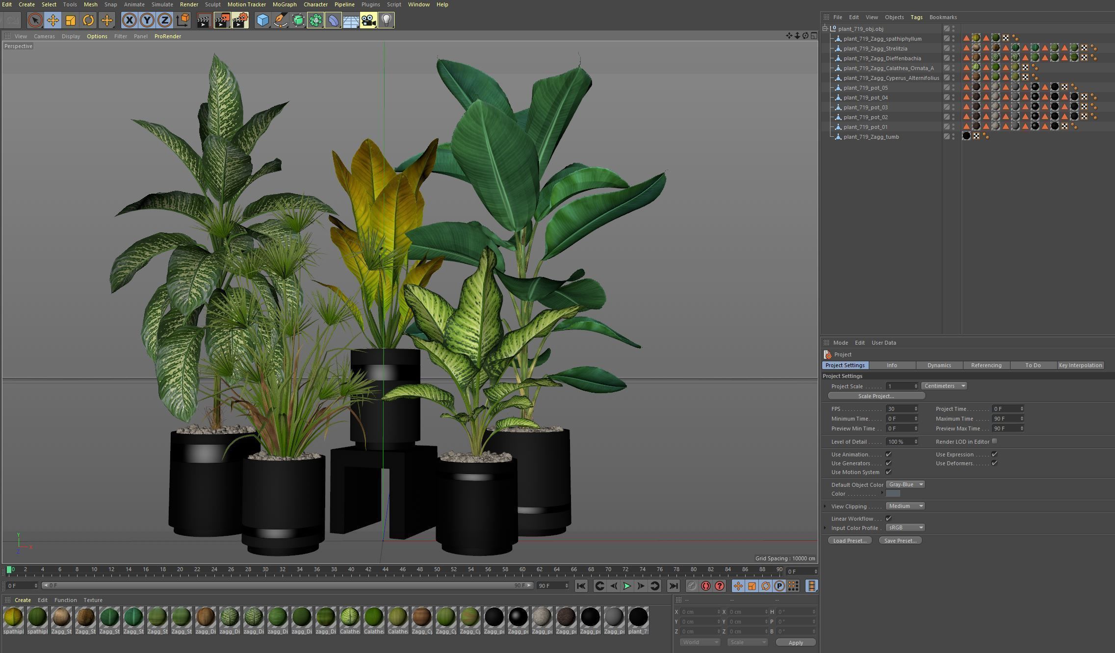 Plants collection 719 3D model_6