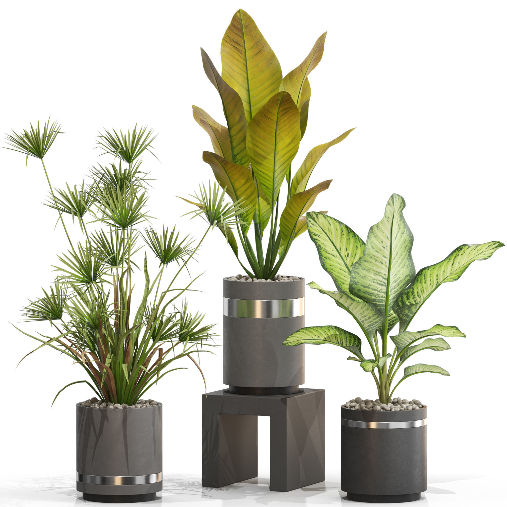 Plants collection 719 3D model_1