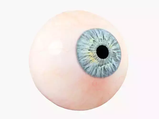 Production-Ready Photorealistic Human Eye - Multicolor Low-poly 3D model