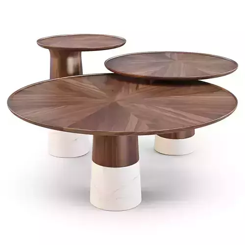 Roche Bobois Colorado - Coffe and Side Tables