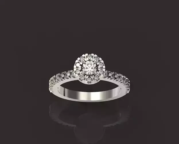 engagement ring  round princess 