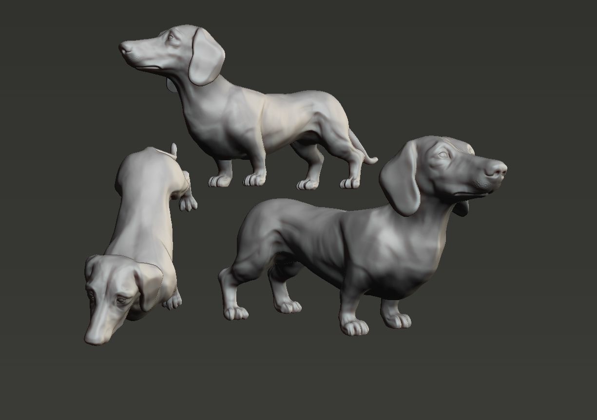 Dachshund sculpture 3D print model_13