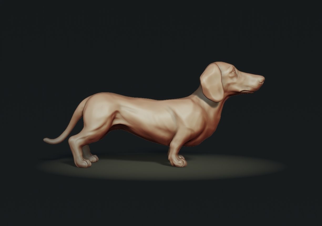 Dachshund sculpture 3D print model_2