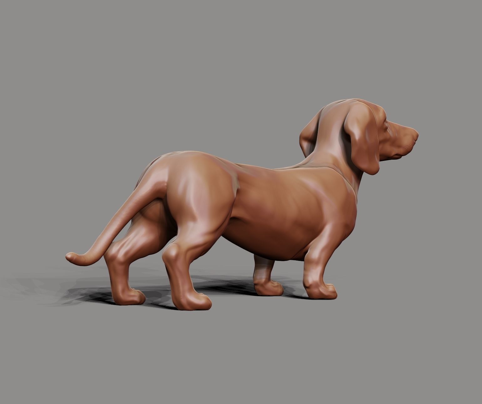 Dachshund sculpture 3D print model_11