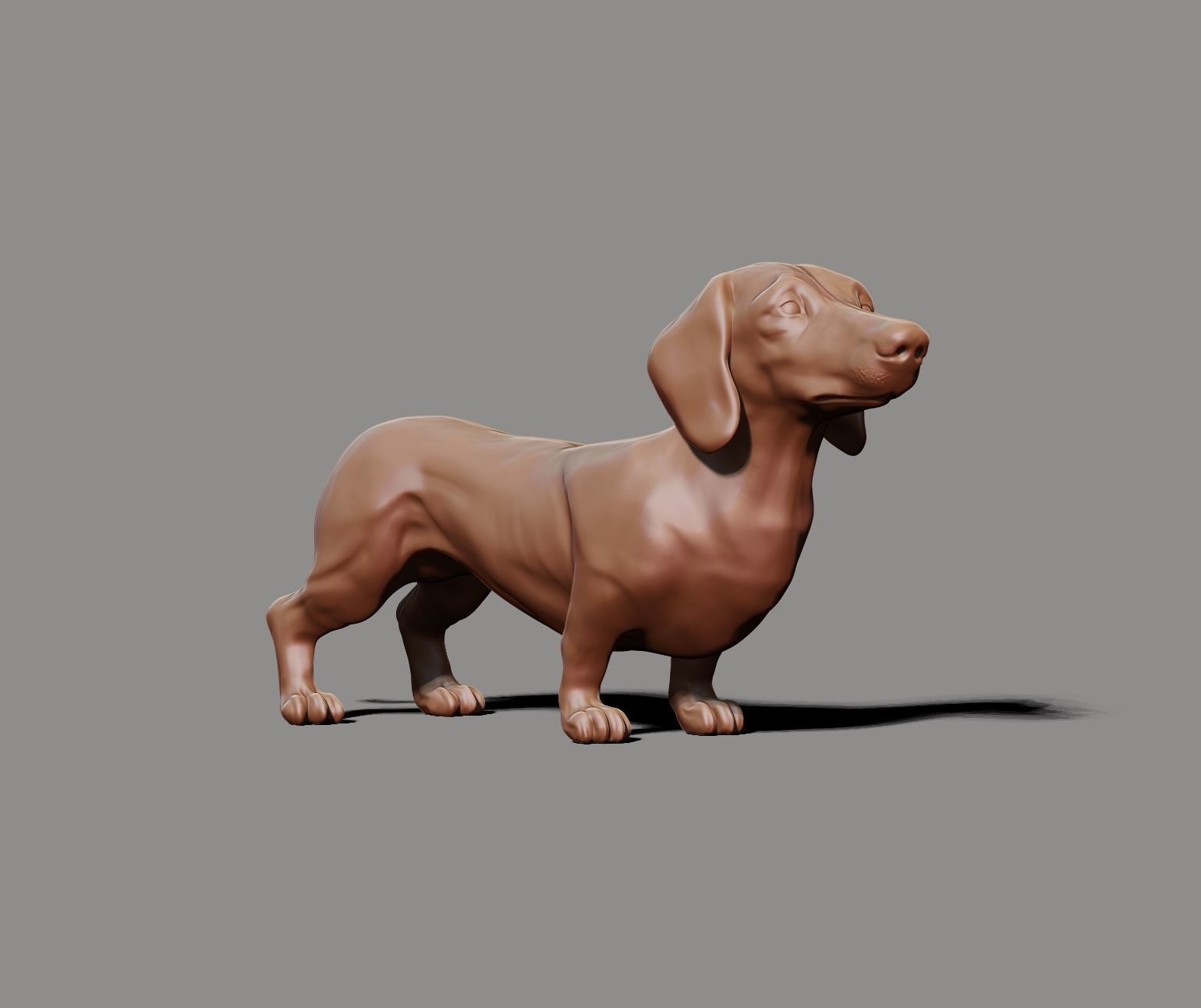 Dachshund sculpture 3D print model_7