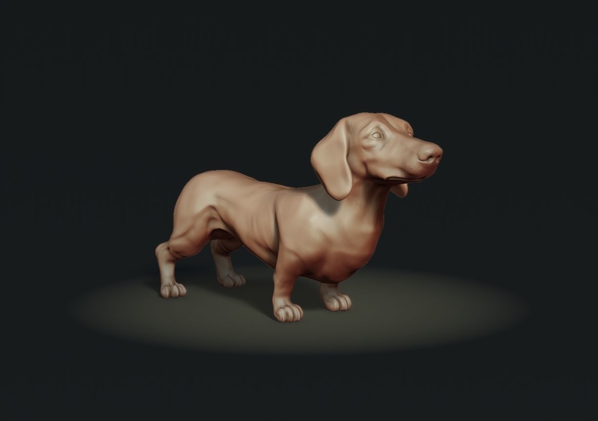 Dachshund sculpture 3D print model_1
