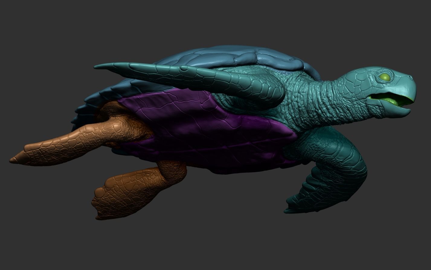 Hawksbill Sea Turtle 3D model_24