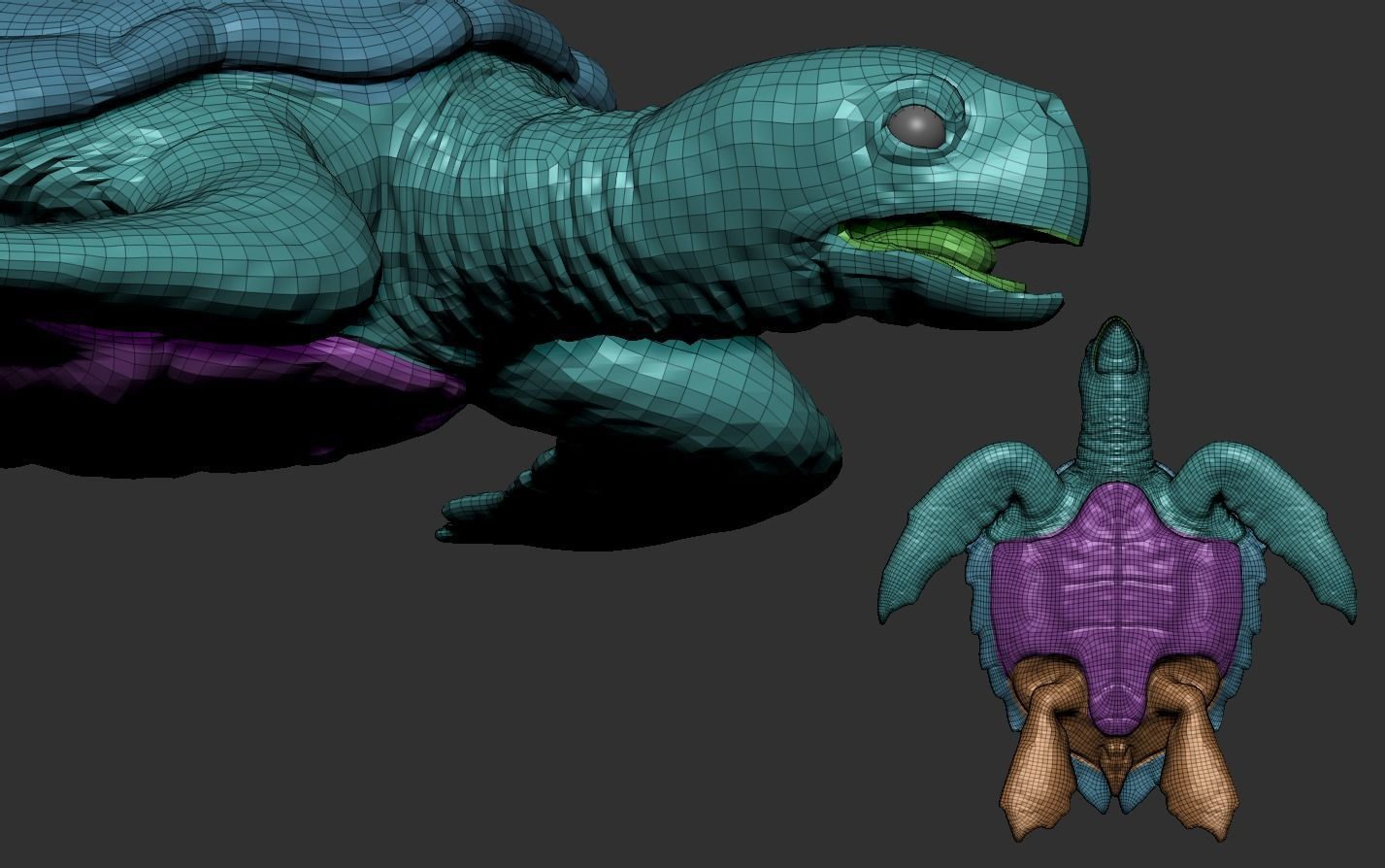 Hawksbill Sea Turtle 3D model_25