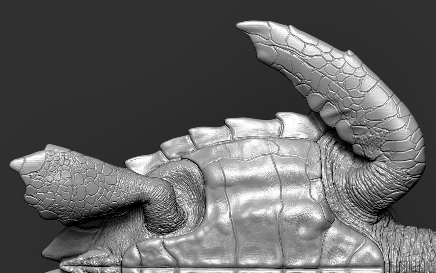 Hawksbill Sea Turtle 3D model_27