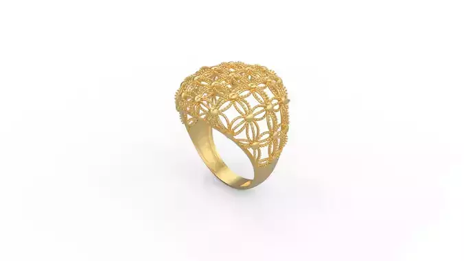 Ultra Vision Ring 360