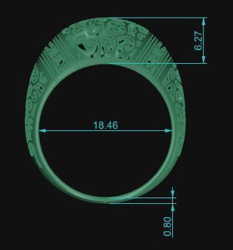 Ultra Vision Ring 382 3D print model_6