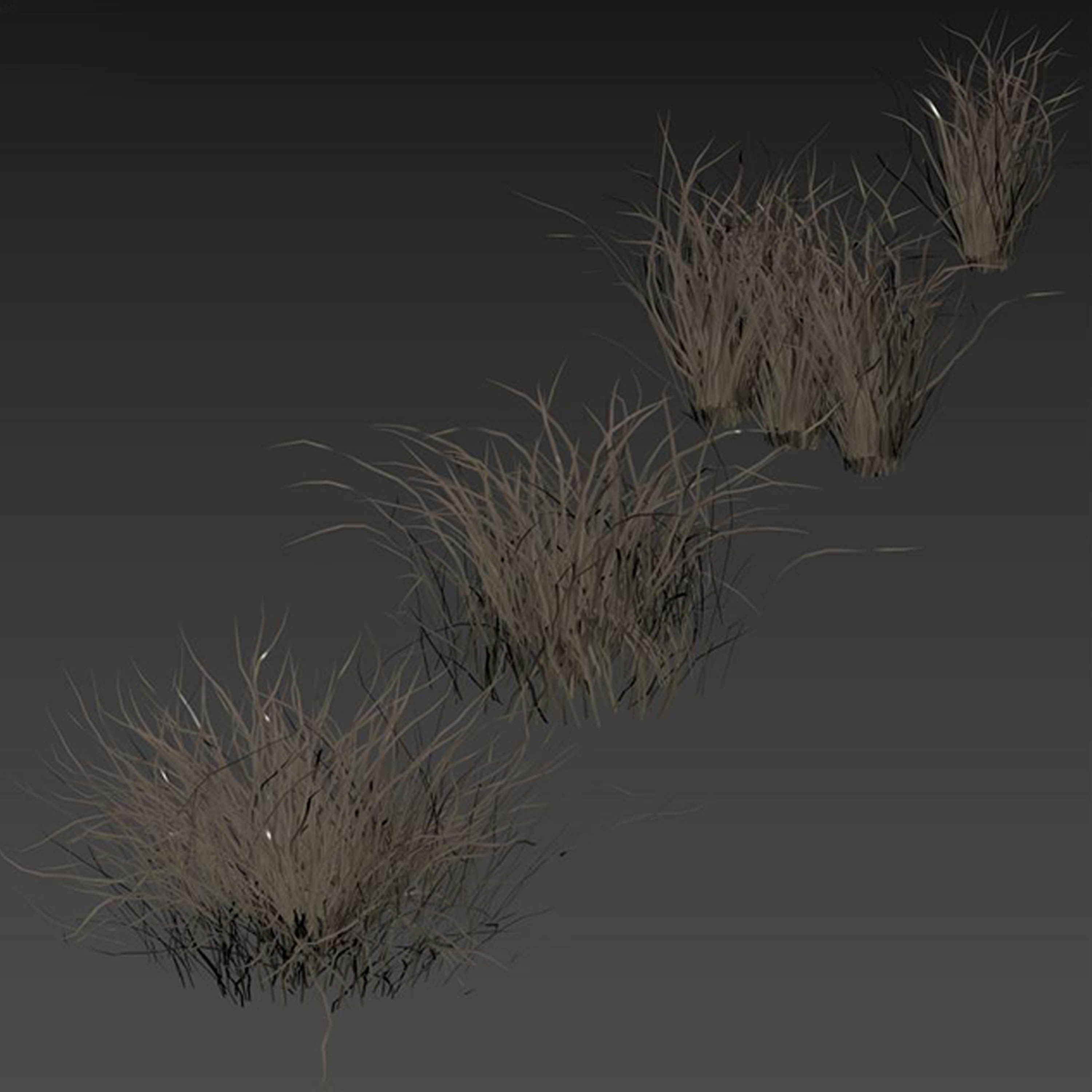 Forest Dried Grass 04 3D model_4