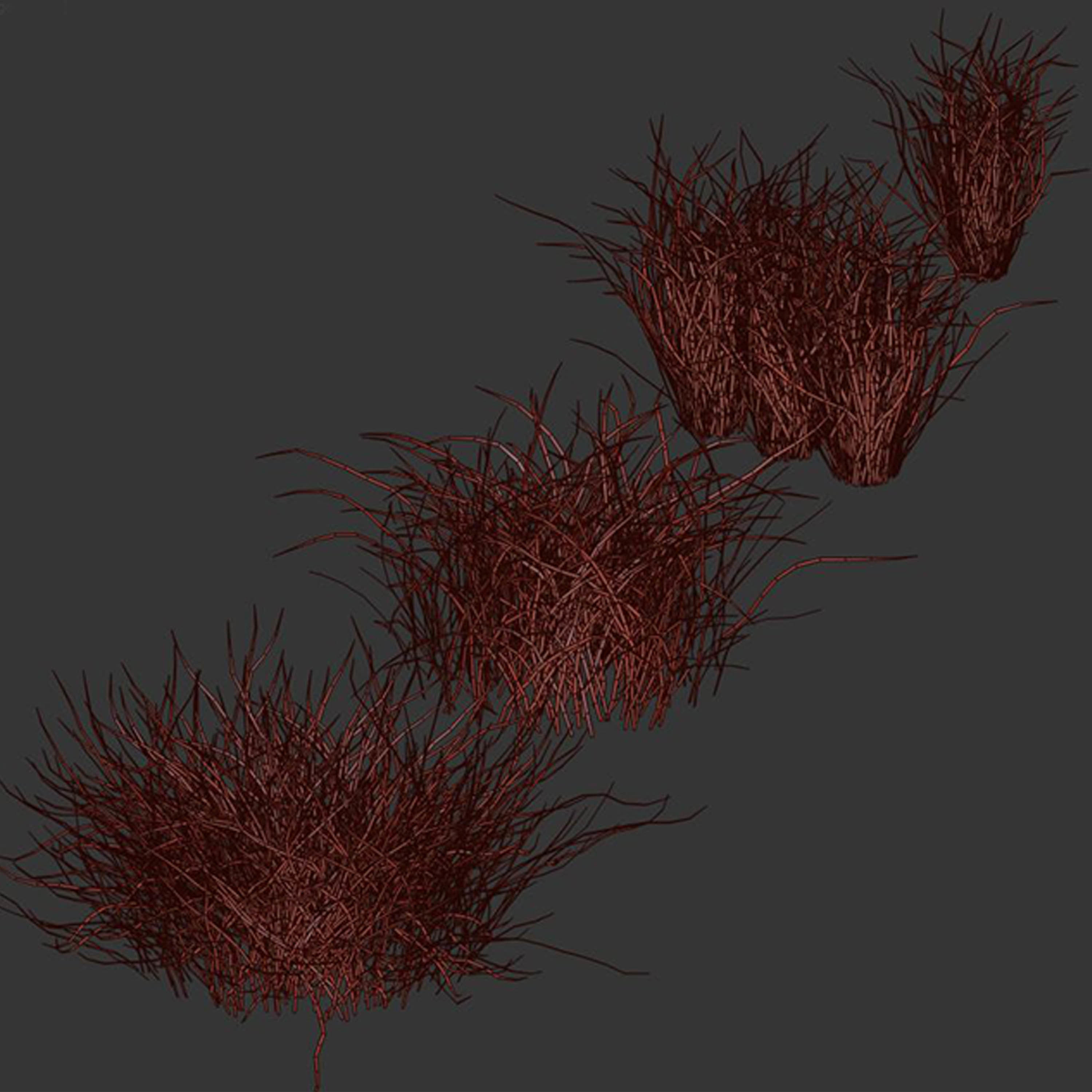Forest Dried Grass 04 3D model_5