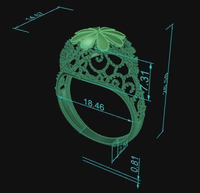 Ultra Vision Ring 487 3D print model_7