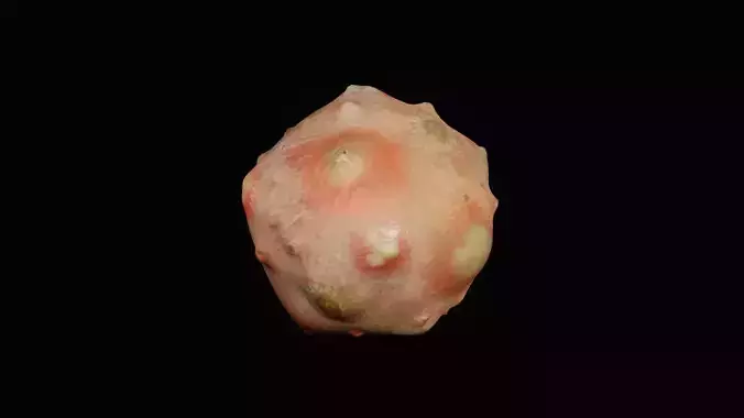 Realistic pimple meteorite 3D model