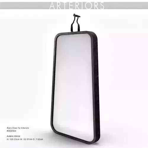 Arteriors Autero Mirror