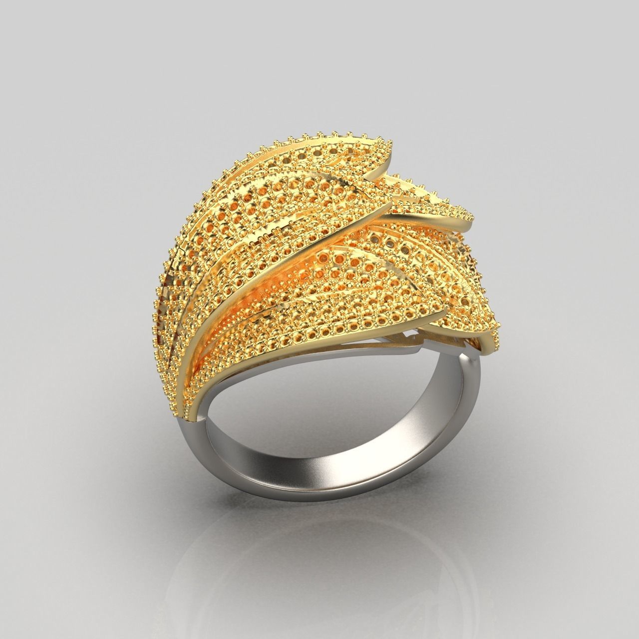 Ring KR 01 3D print model_7