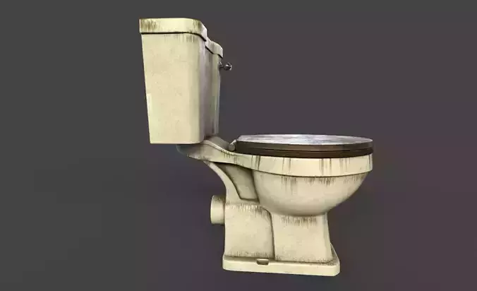 Toilet with wooden seat