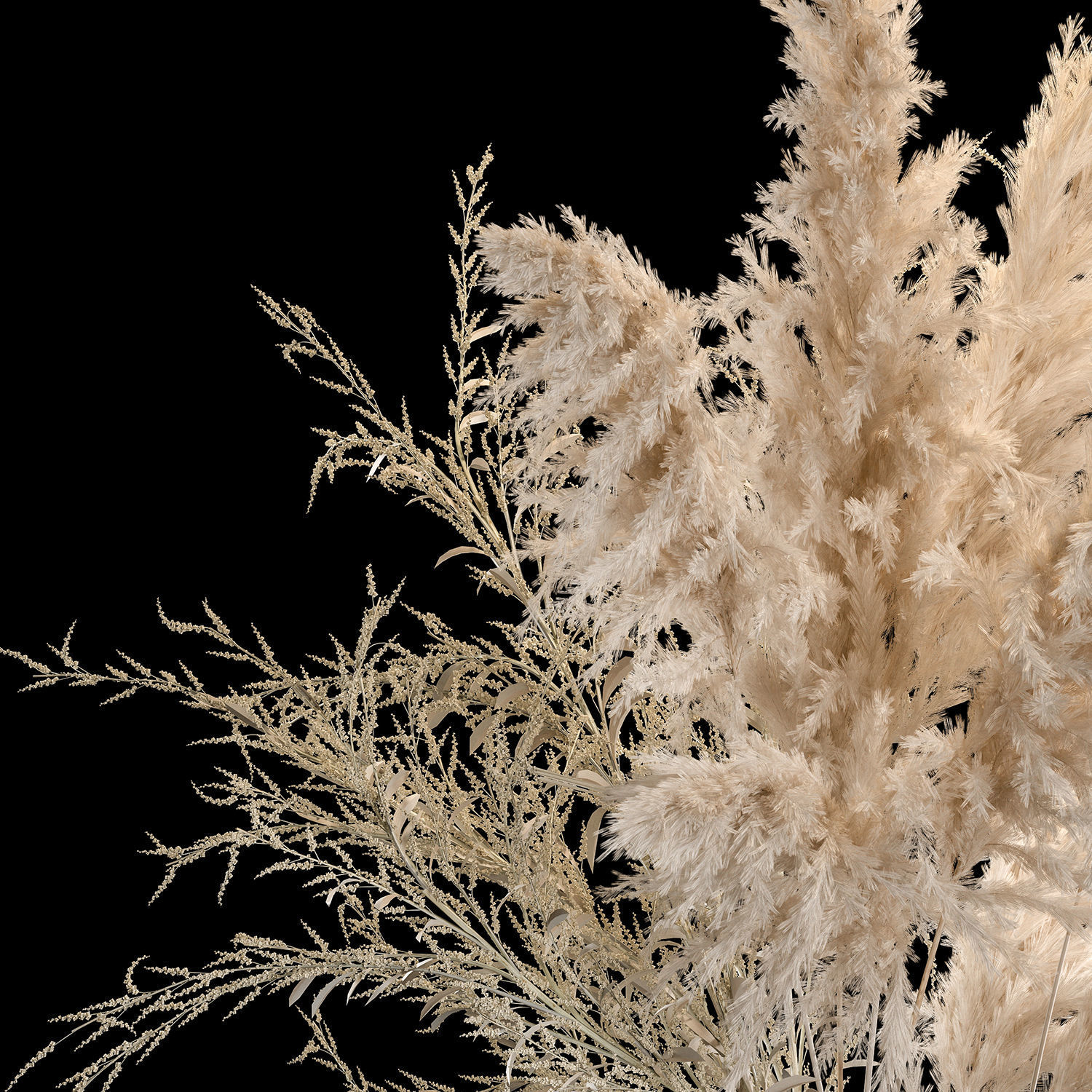 Bouquet Of Pampas Grass In A Vase Dried Flowers 3D model_4