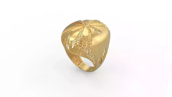 Ultra Vision Ring 520