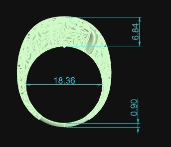 Ultra Vision Ring 521 3D print model_6