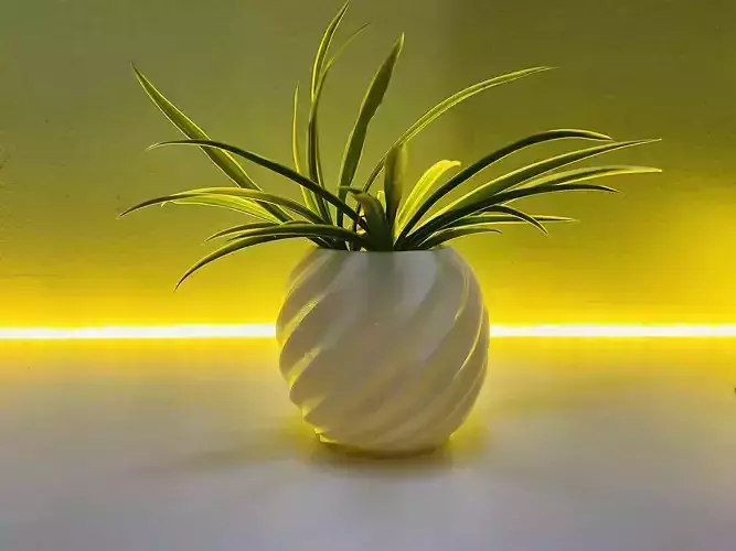 Potted Plant Decorative 3D Model