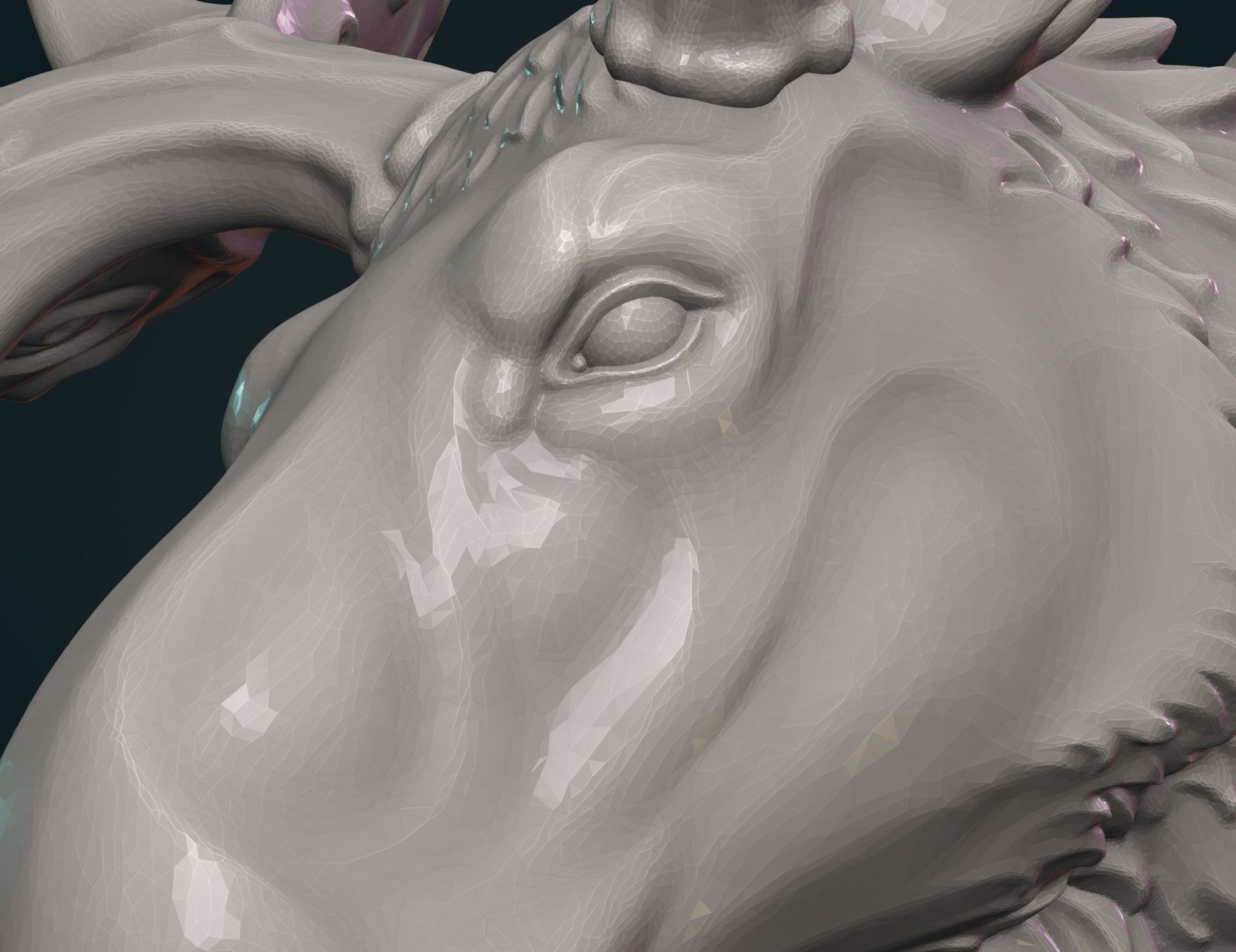 Moose Head 3D print model_11