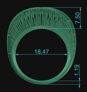 Ultra Vision Ring 581 3D print model_5