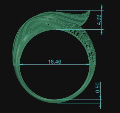 Ultra Vision Ring 594 3D print model_8