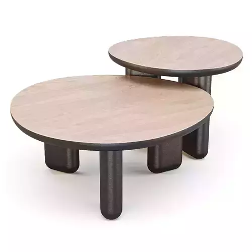 Liu Jo Caillou - Coffee Tables 3D model