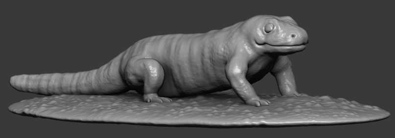 Salamander lizard 3D print model_3