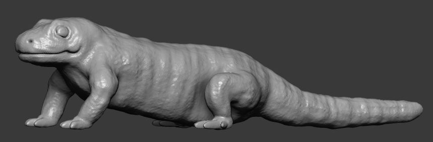 Salamander lizard 3D print model_1