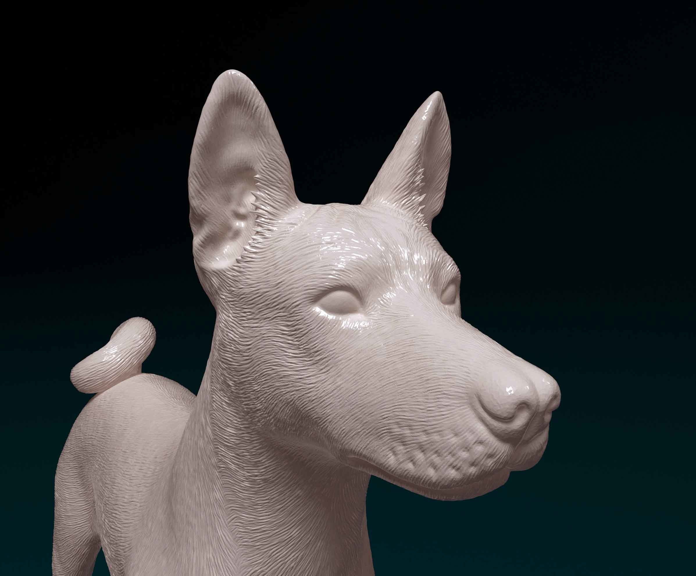 Basenji chihuahua 3D print model_6