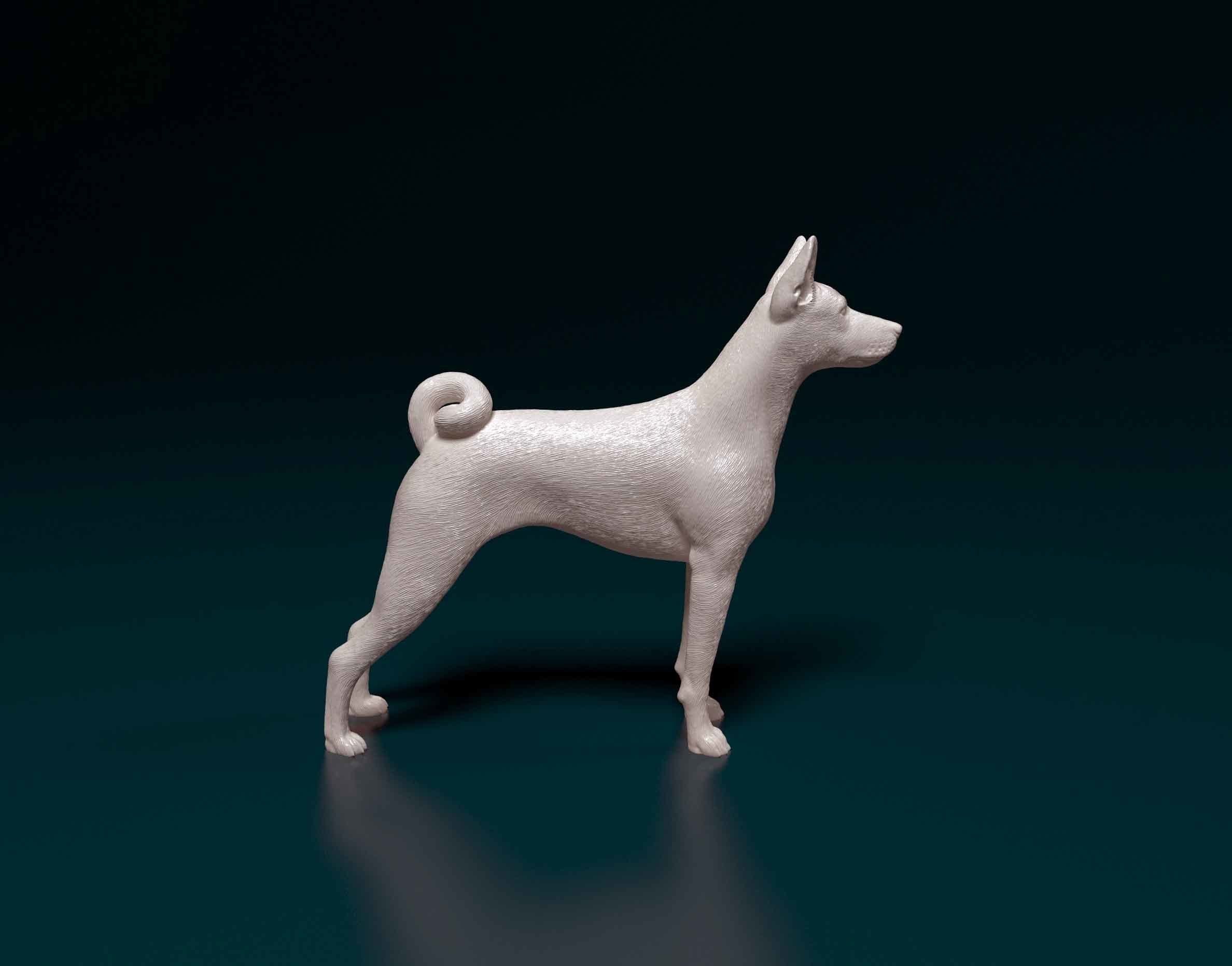 Basenji chihuahua 3D print model_1