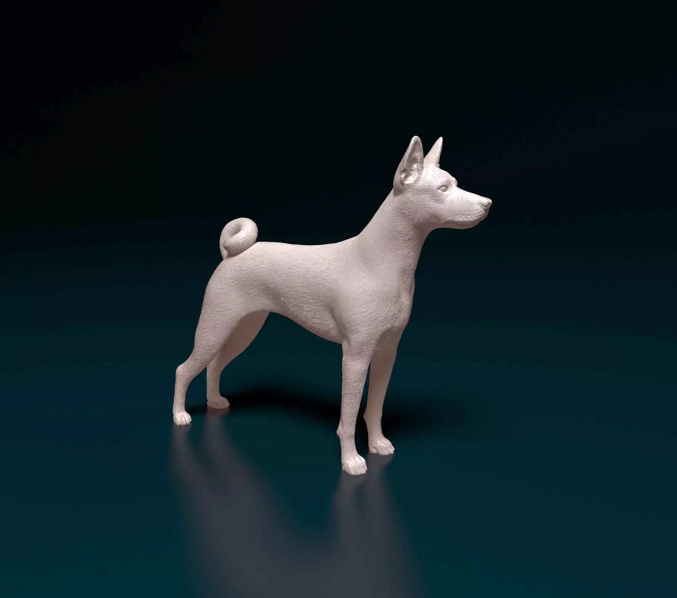 Basenji chihuahua 3D print model_0