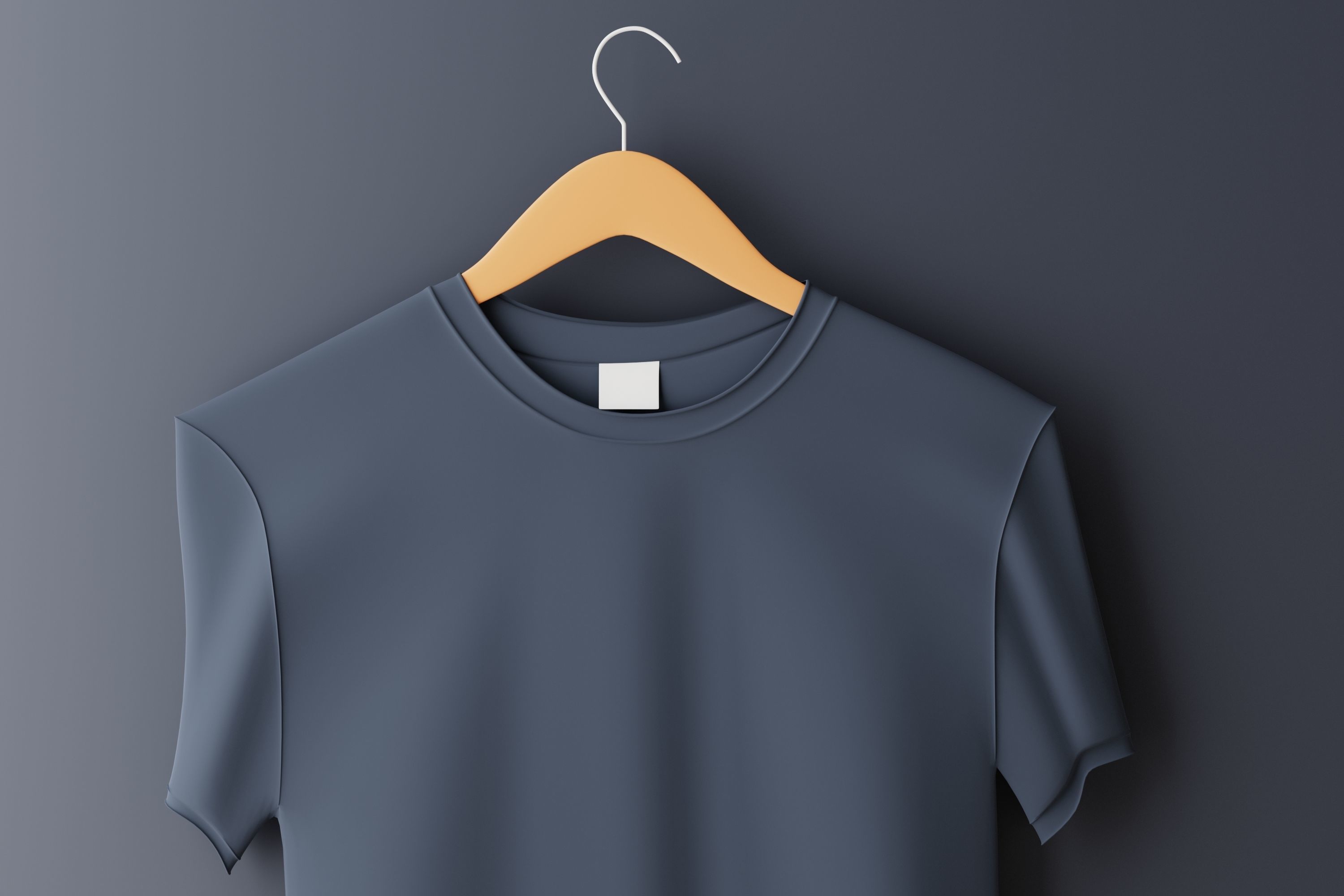 T-shirt on Hanger  3D model_5