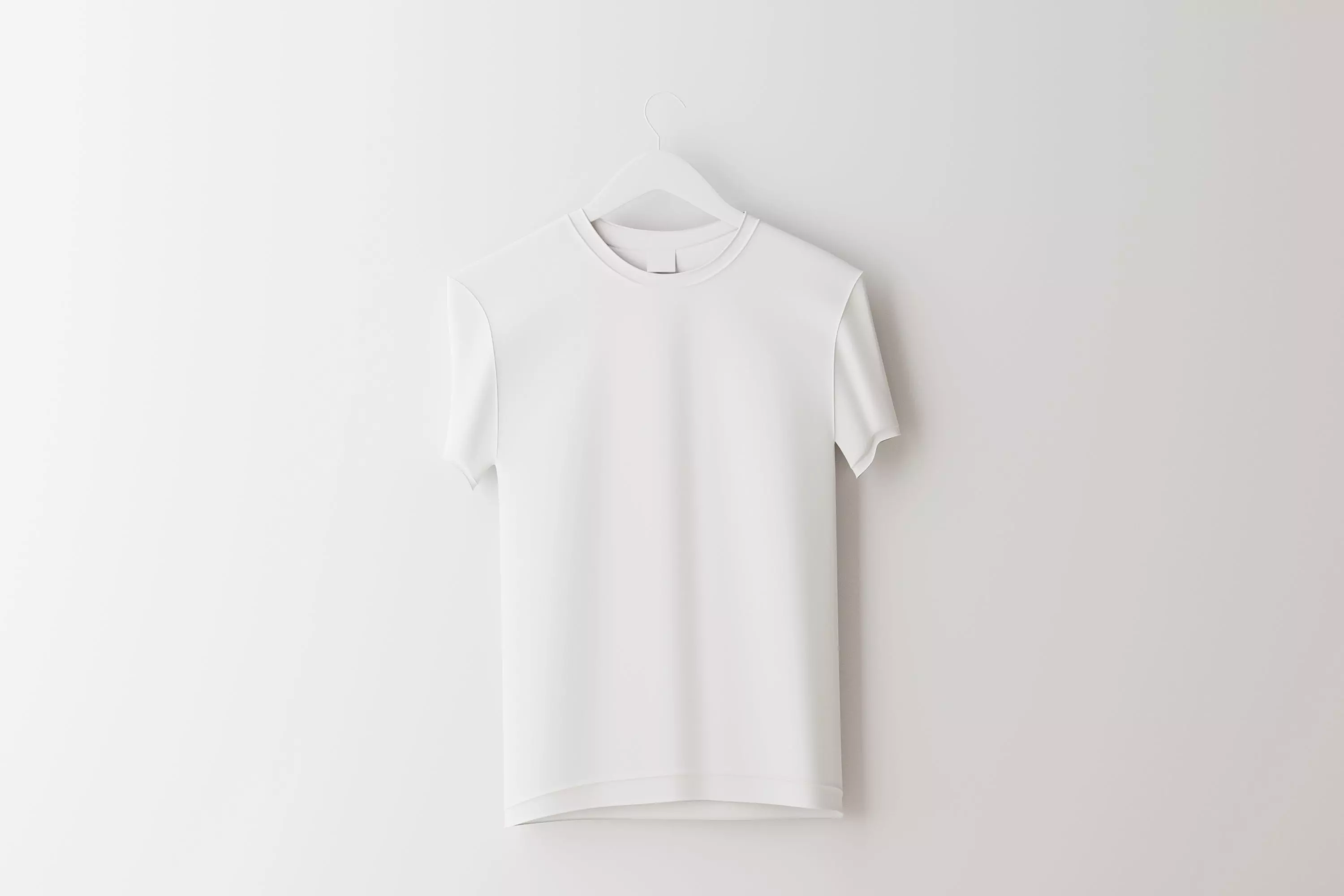 T-shirt on Hanger  3D model_0