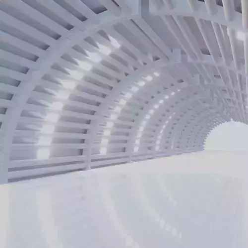 Tunnel arched structure with roof