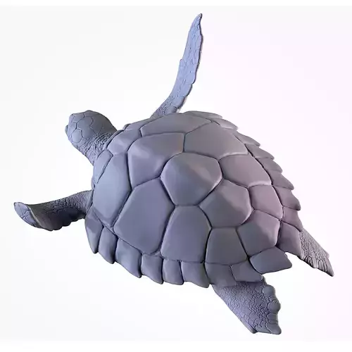 Turtle sculpture of 3D print model